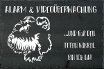 Schieferplatte Zwergschnauzer